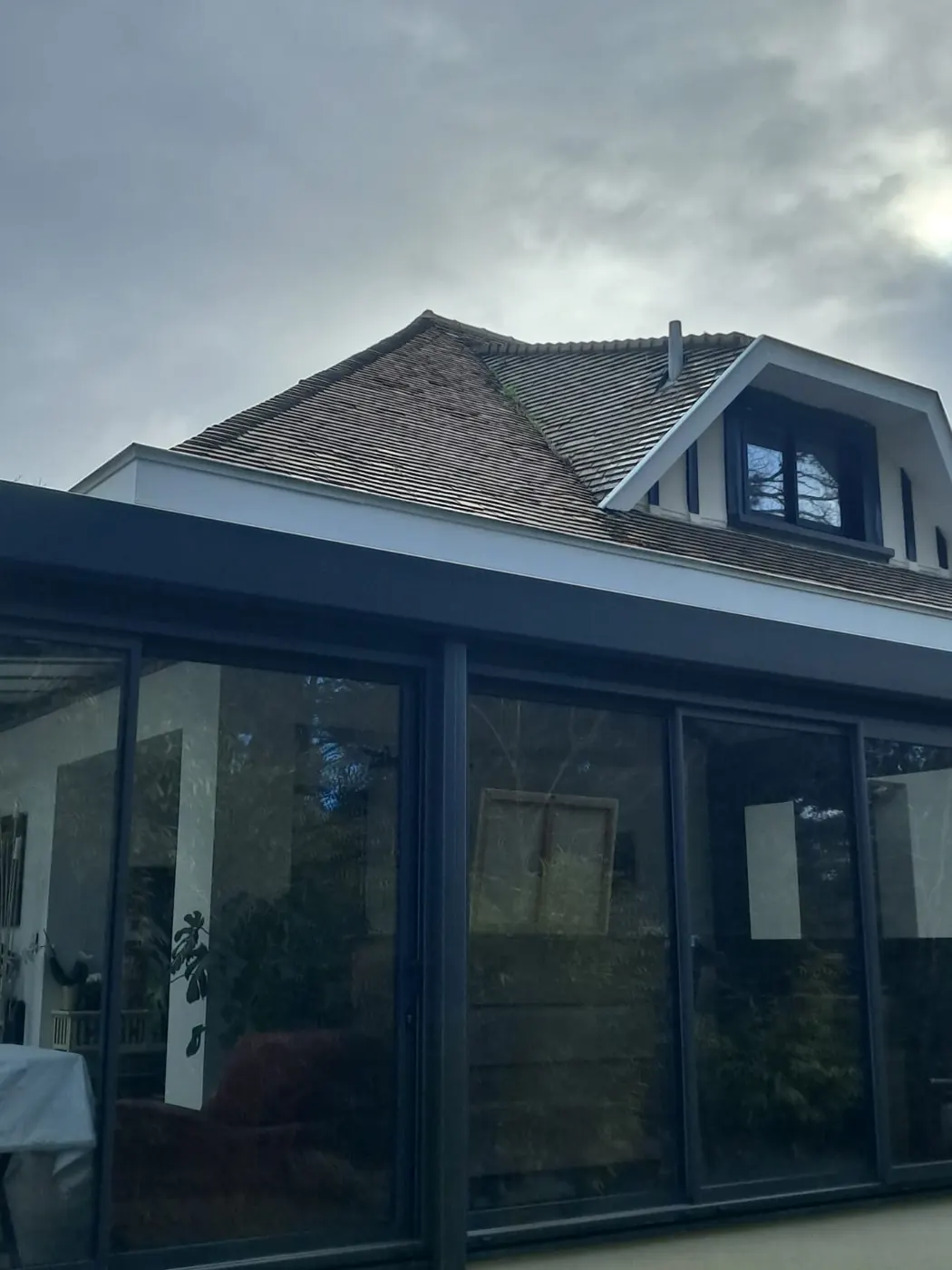 Toiture en tuiles avant intervention : mousses installées sur les rangs bas du versant, sous couvert de pins