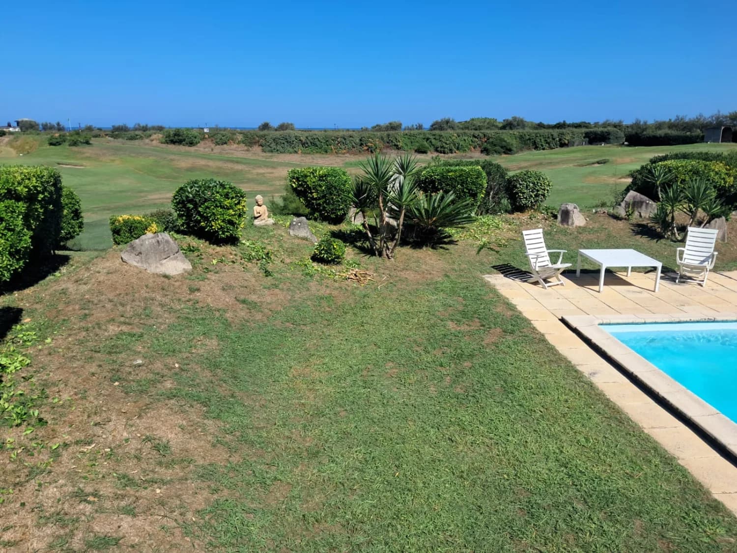 Jardin d'une propriété d'Anglet ouvert sans clôture sur le golf de Chiberta, topiaires de laurier taillées en boule, piscine et ligne d'océan au fond