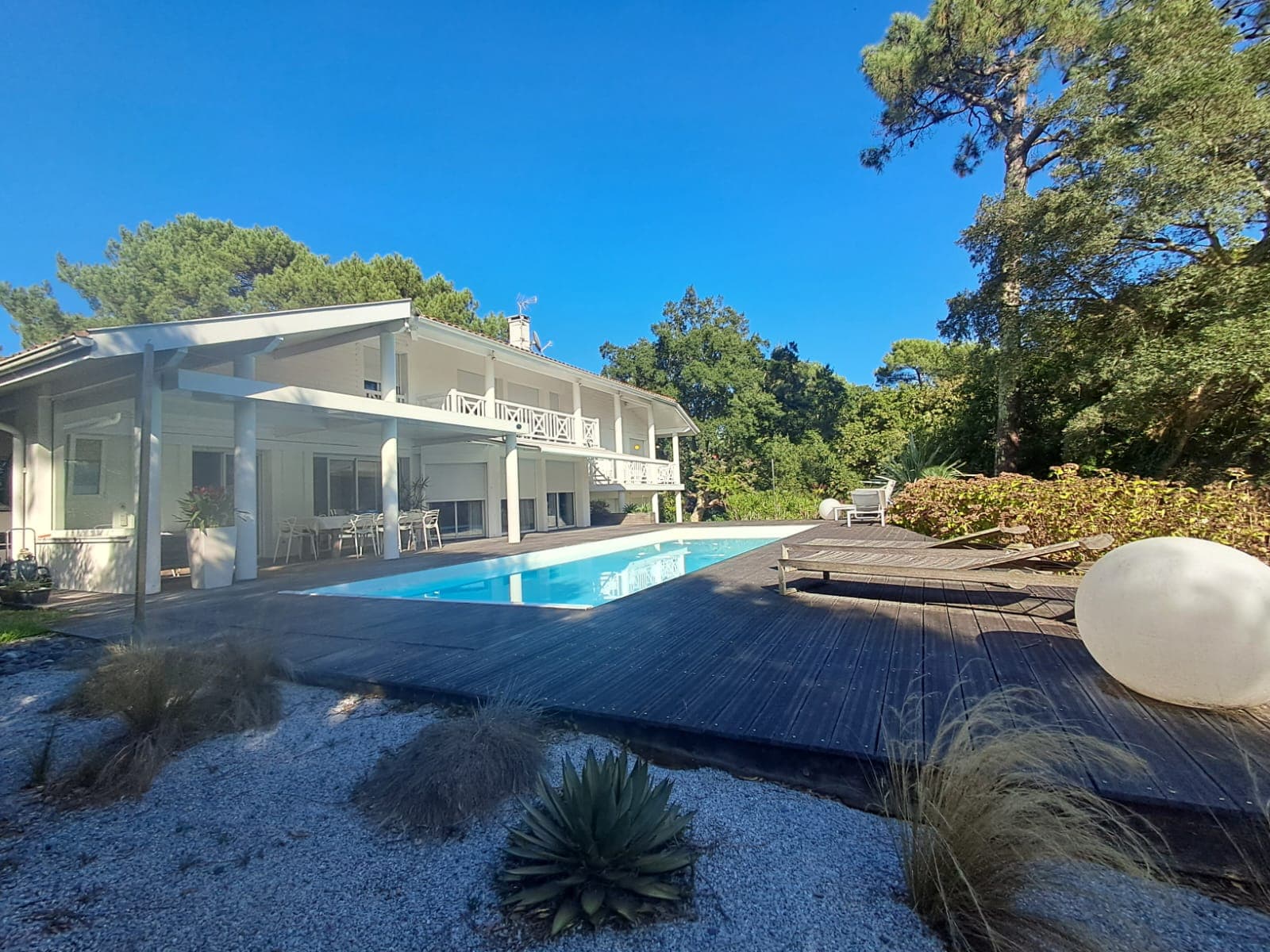 Villa landaise blanche à galeries, piscine rectangulaire et terrasse en bois grisé sous les pins maritimes, à Soorts-Hossegor