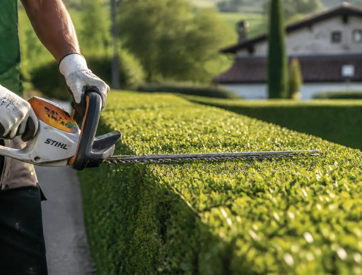 Taille d'une haie de buis au taille-haie thermique, mains gantées en gros plan, maisons basques en arrière-plan