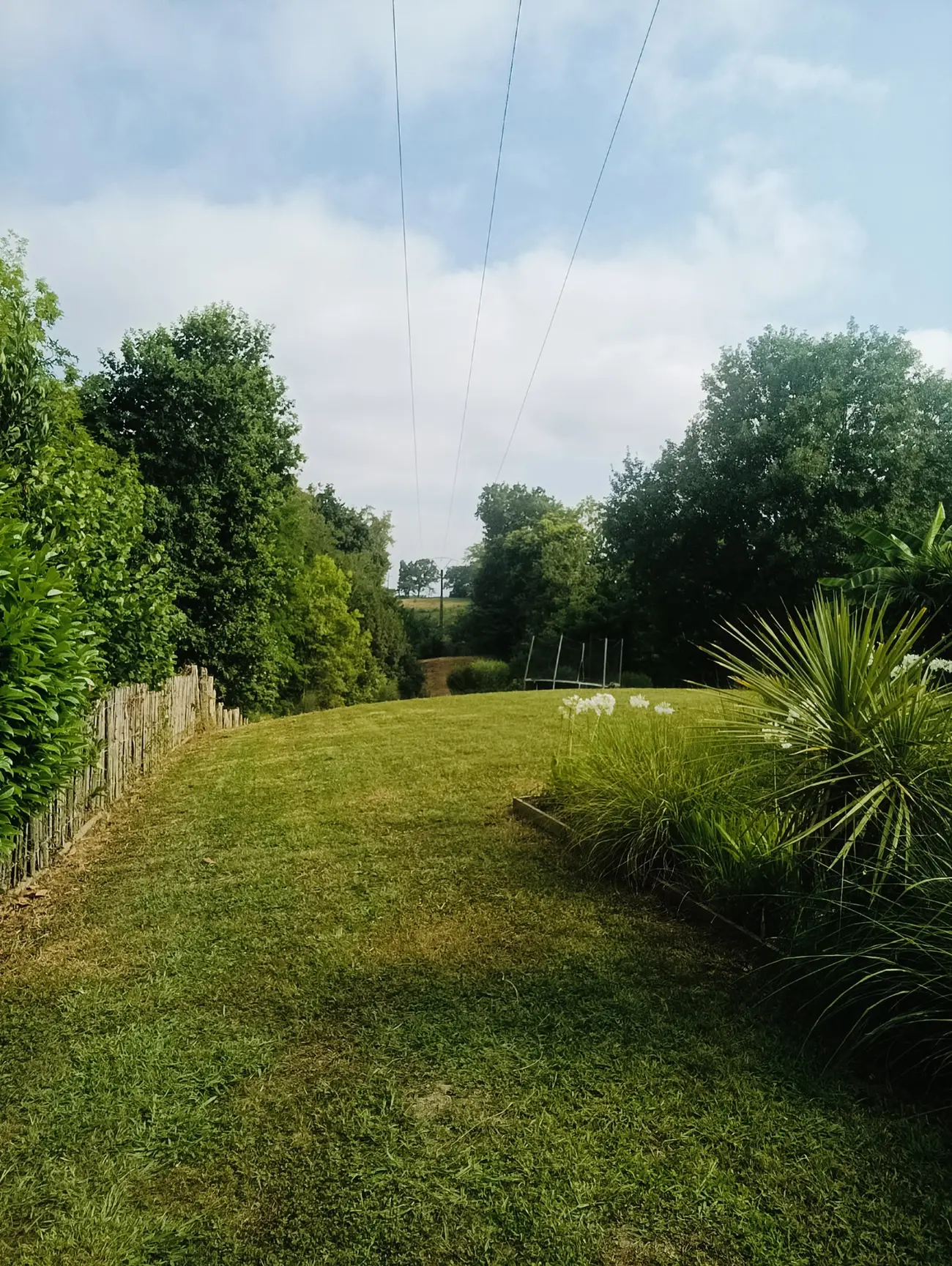 Prairie et ganivelle dans un jardin d'esprit forêt à Saint-Pierre-d'Irube